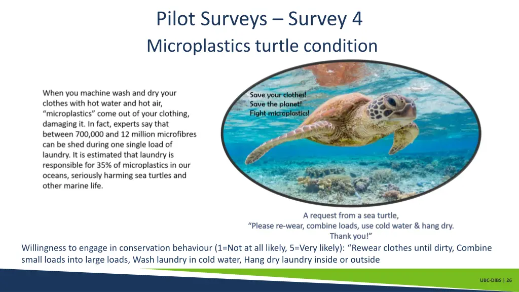 pilot surveys survey 4 microplastics turtle