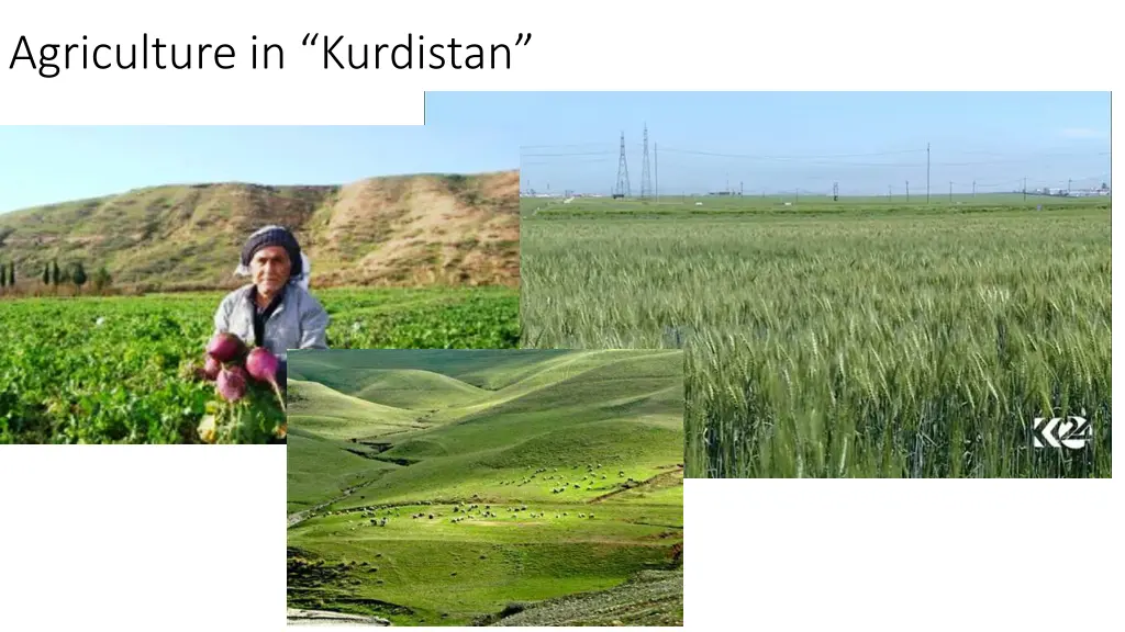 agriculture in kurdistan