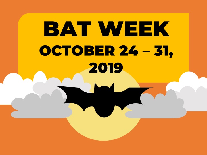 bat week october 24 31 2019