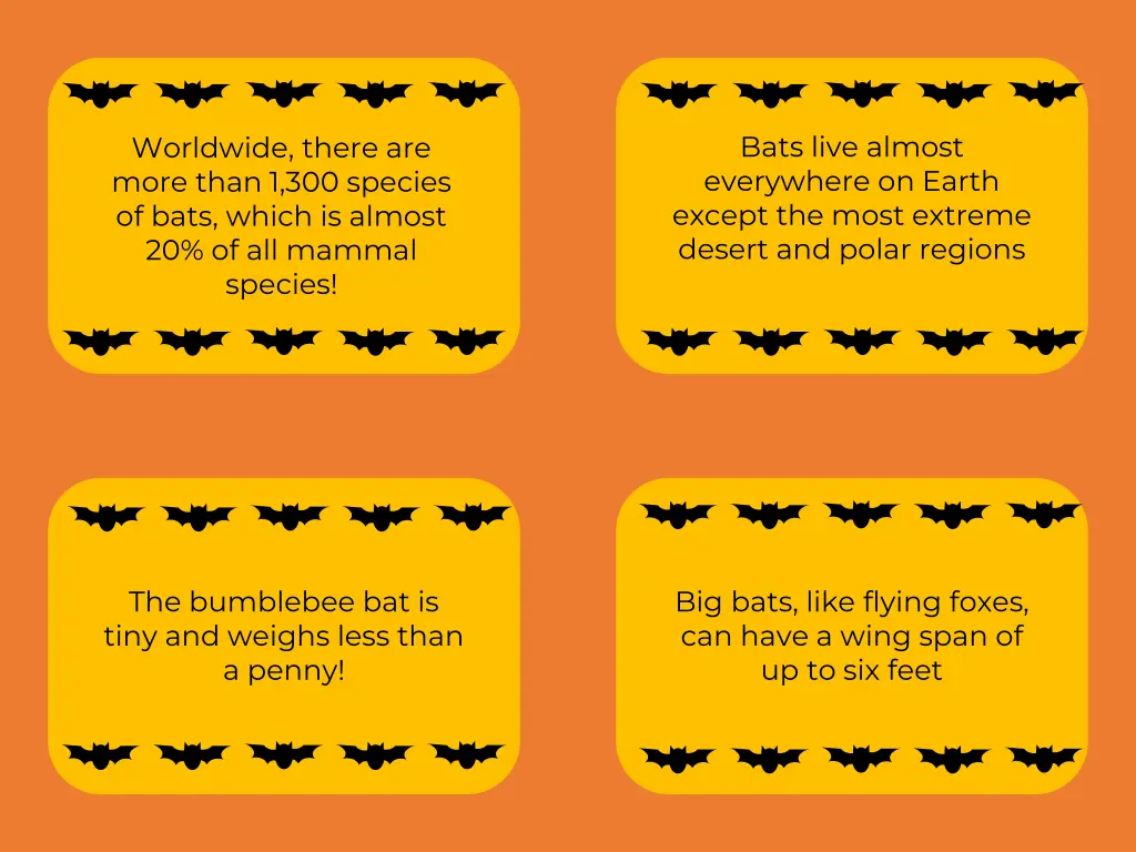 bats live almost everywhere on earth except