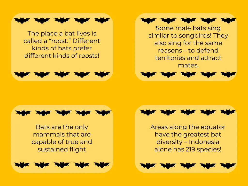 some male bats sing similar to songbirds they