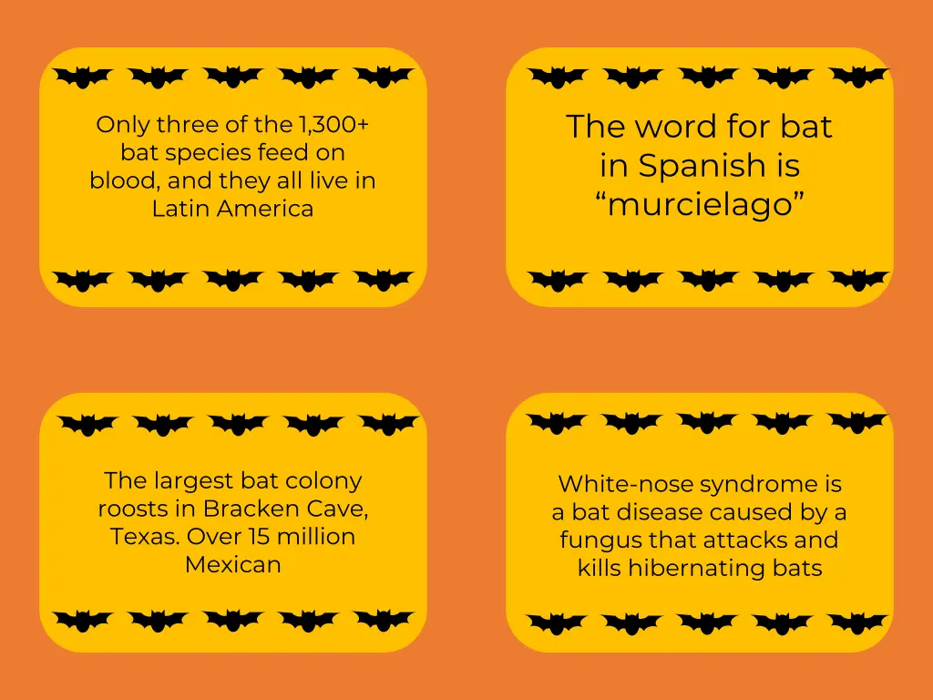 the word for bat in spanish is murcielago