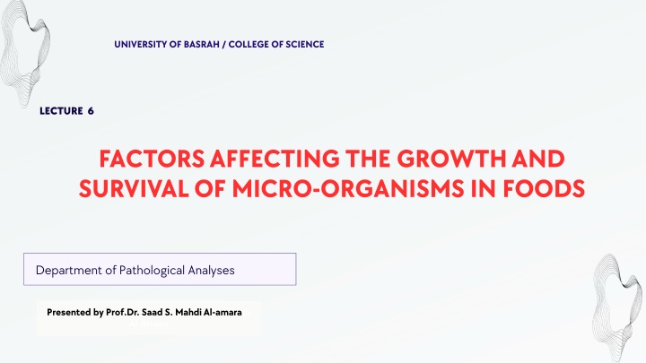 university of basrah college of science