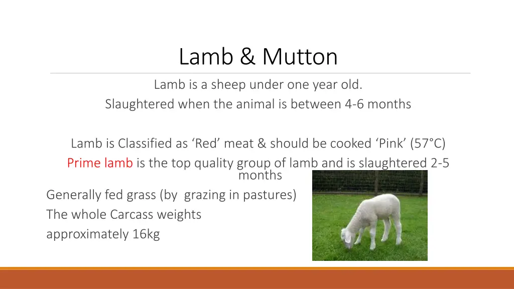 lamb mutton lamb is a sheep under one year