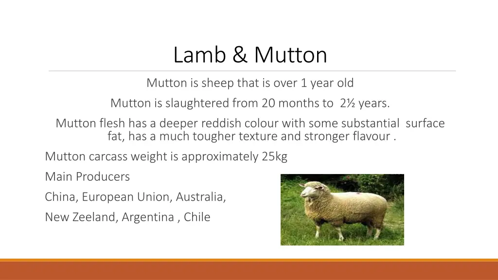 lamb mutton