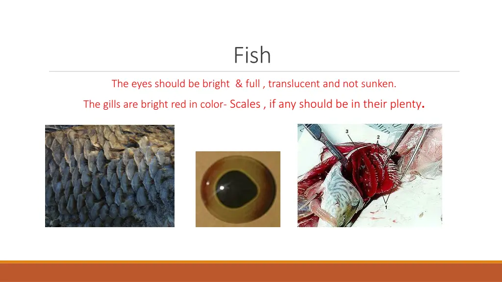 slide30