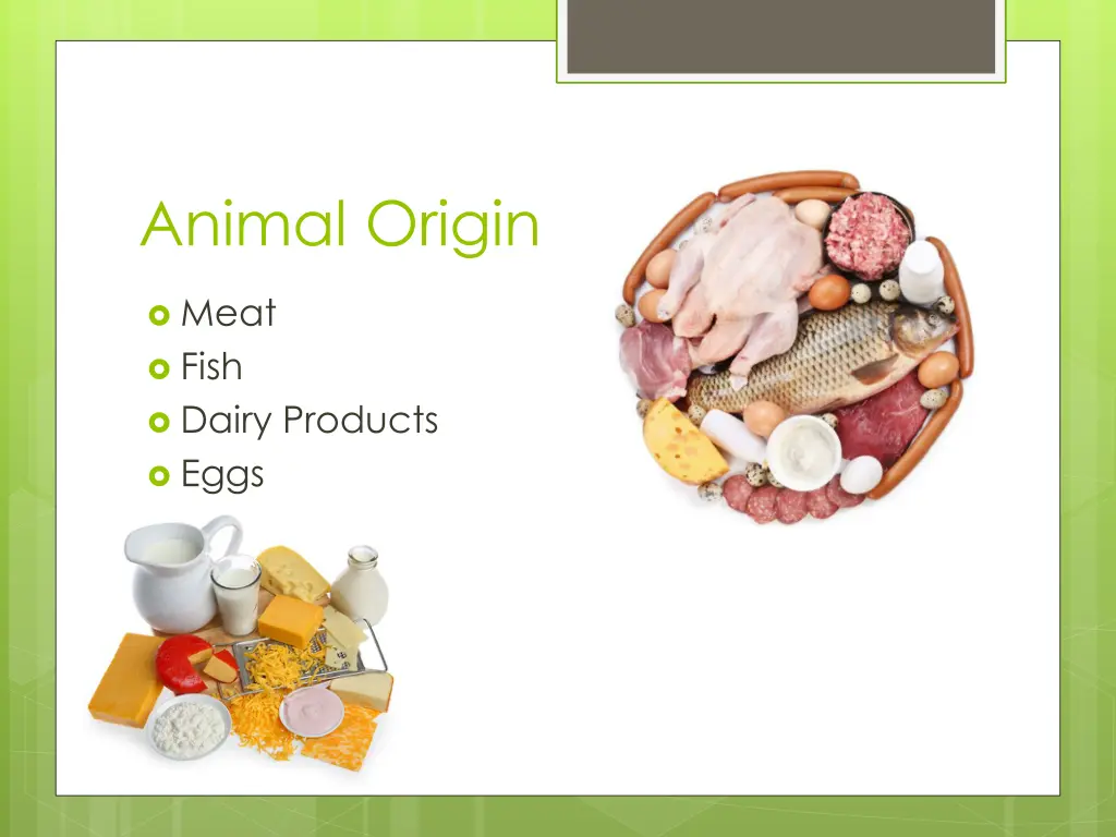 animal origin