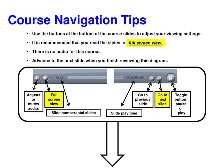 course navigation tips