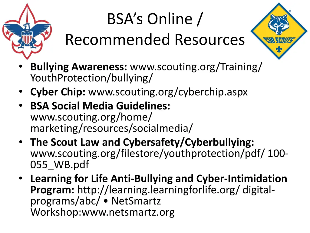 bsa s online recommended resources