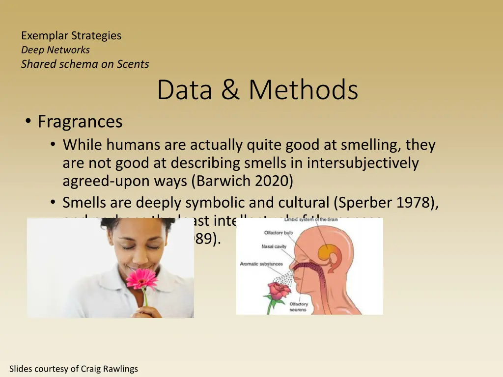 exemplar strategies deep networks shared schema 1