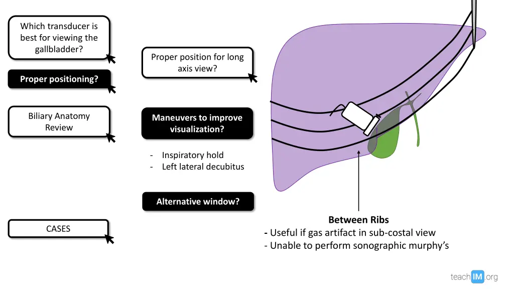 which transducer is best for viewing 1