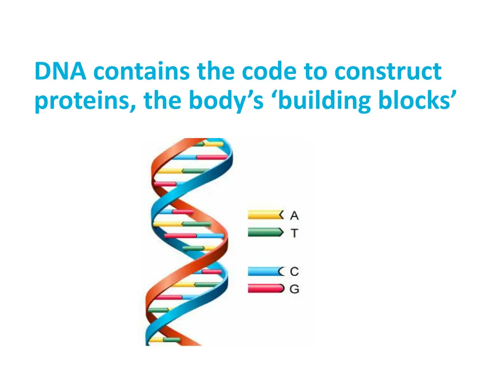 dna contains the code to construct proteins