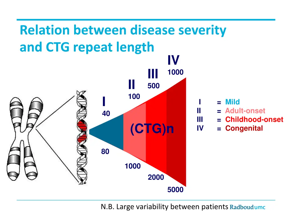 relation between disease severity and ctg repeat