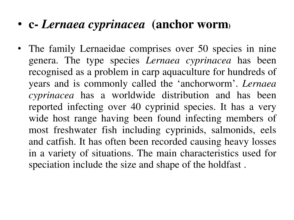 c lernaea cyprinacea anchor worm