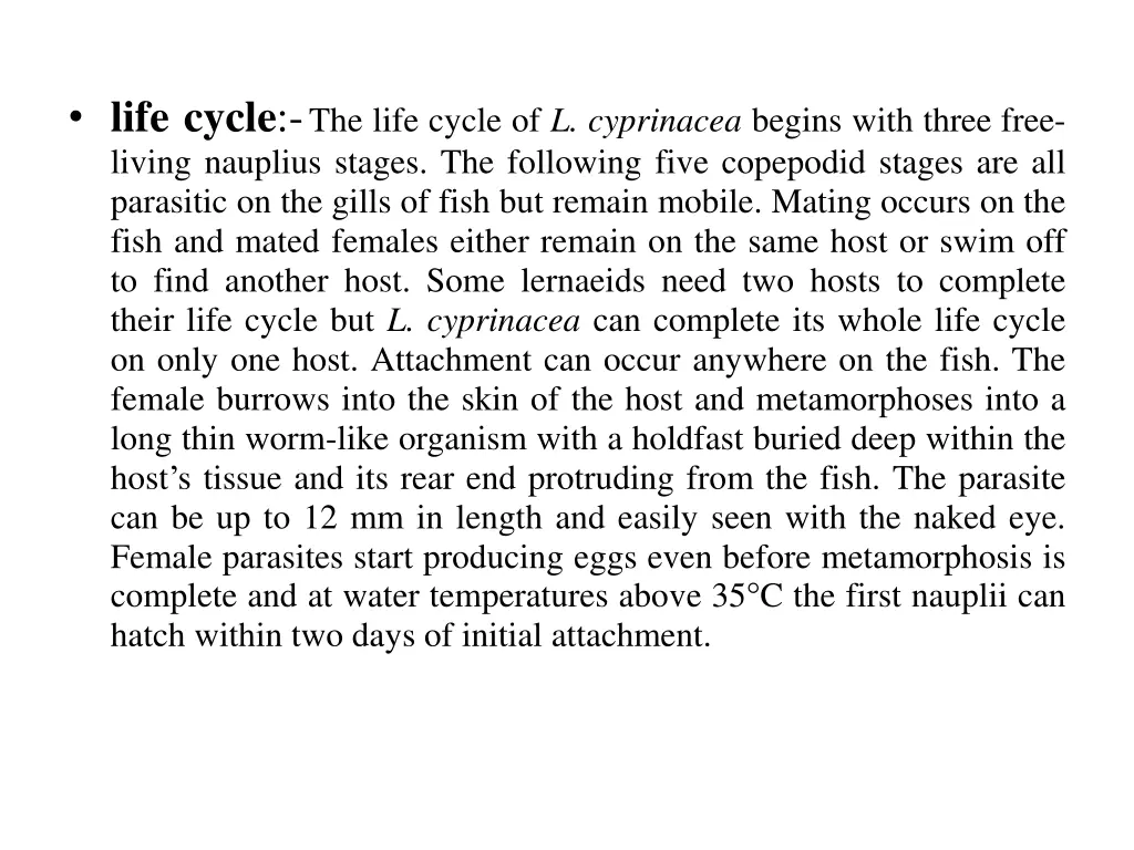 life cycle the life cycle of l cyprinacea begins