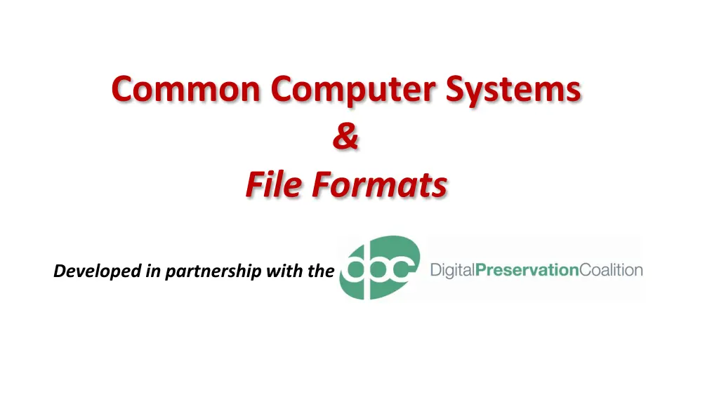 common computer systems file formats