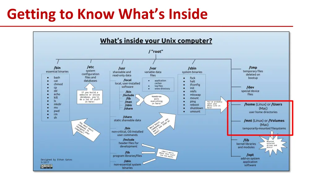 getting to know what s inside