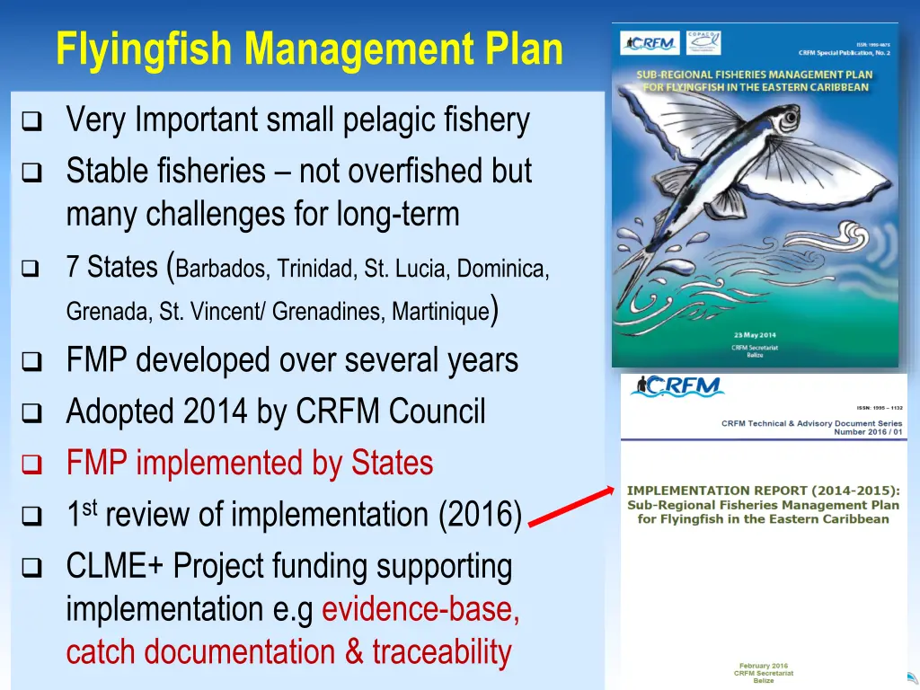 flyingfish management plan