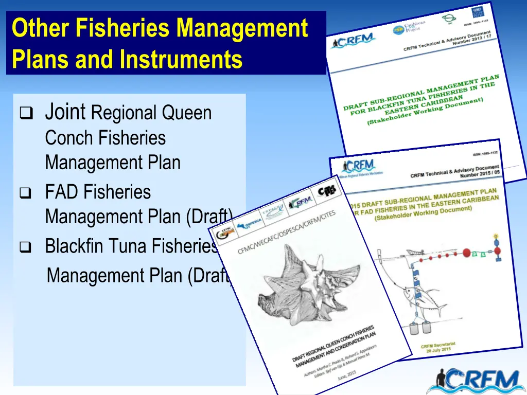 other fisheries management plans and instruments