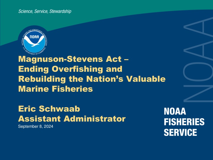 magnuson stevens act ending overfishing