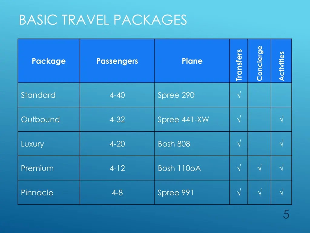 basic travel packages