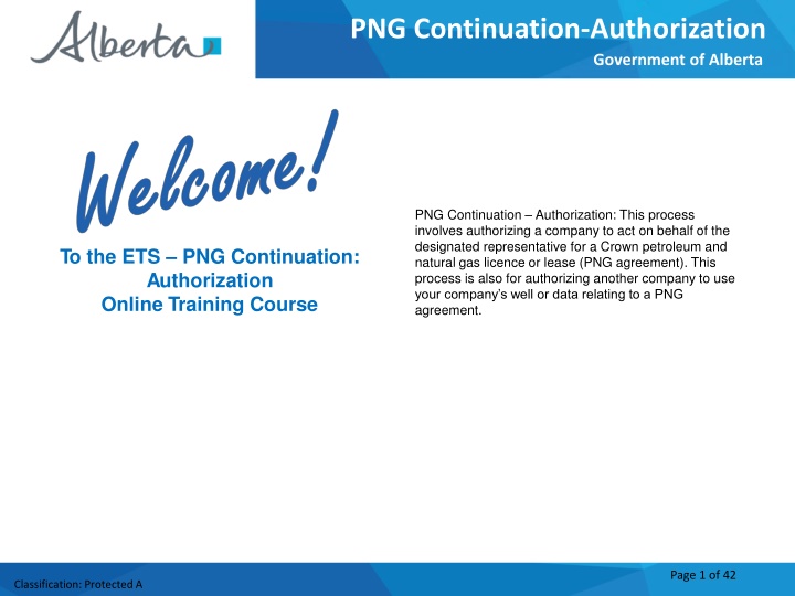 png continuation authorization