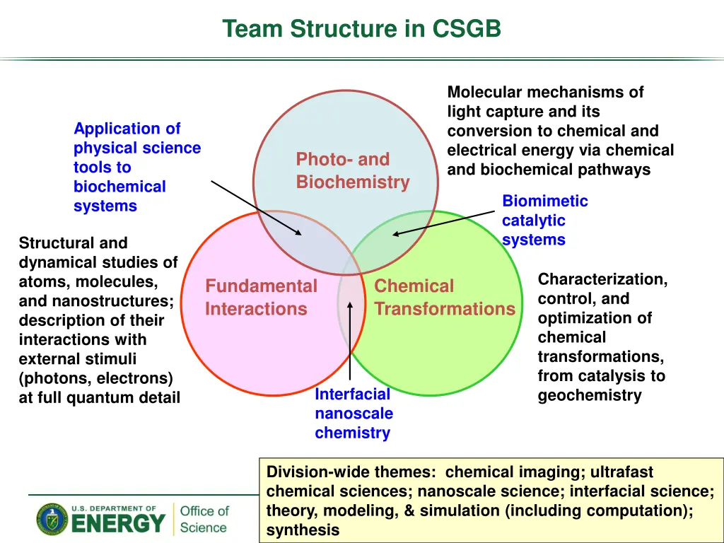 team structure in csgb