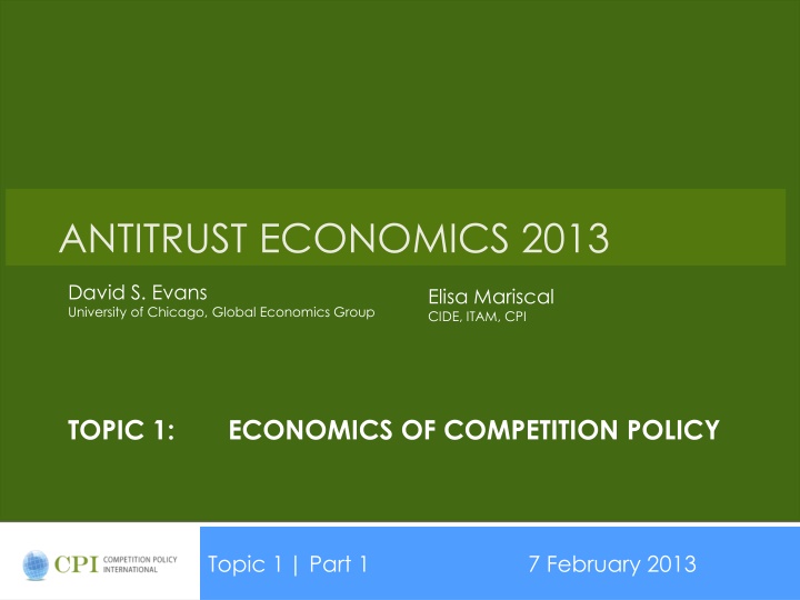 antitrust economics 2013