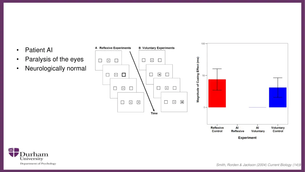 patient ai paralysis of the eyes neurologically