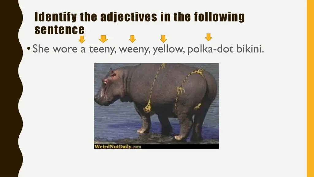 identify the adjectives in the following sentence