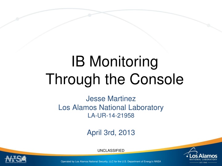 ib monitoring through the console