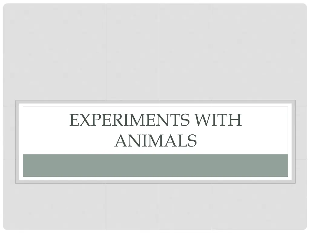 experiments with animals