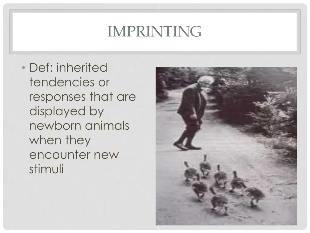 imprinting