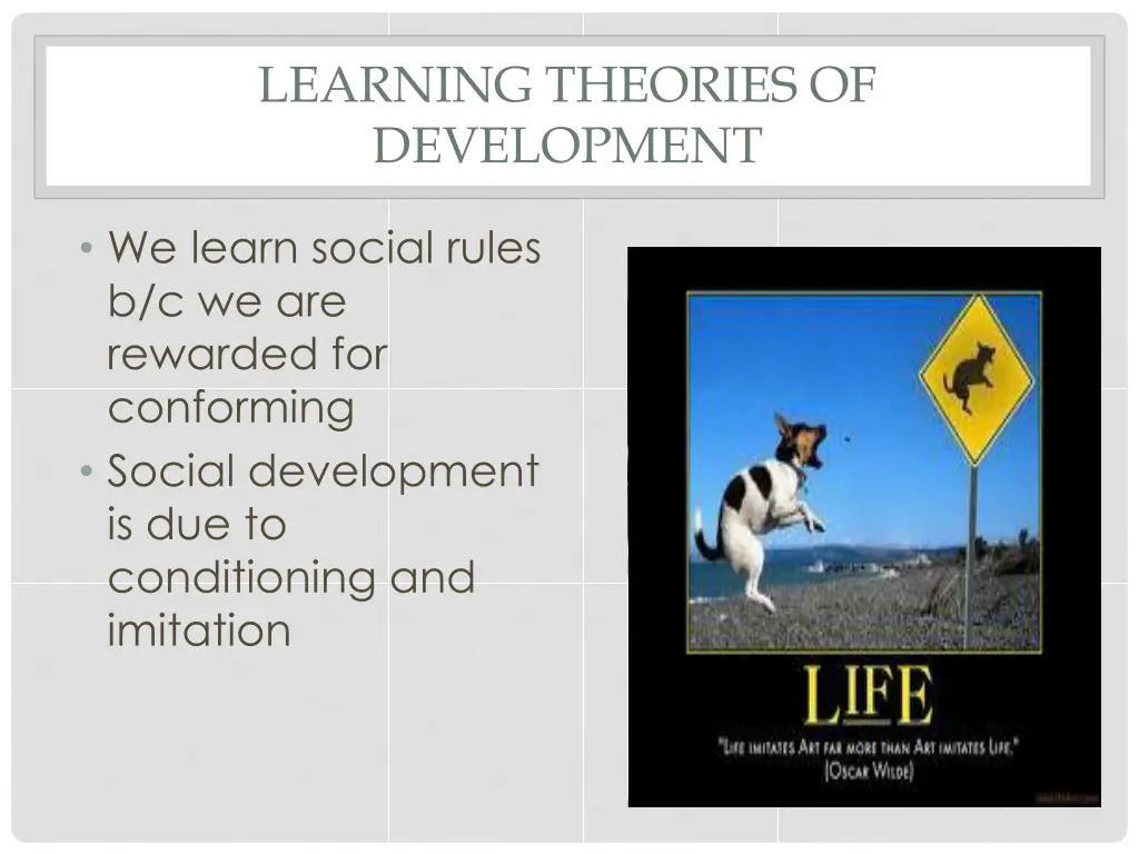 learning theories of development