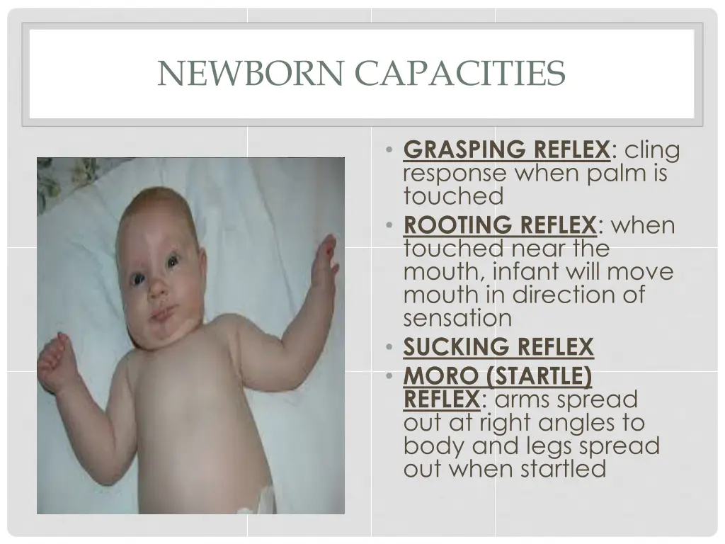 newborn capacities