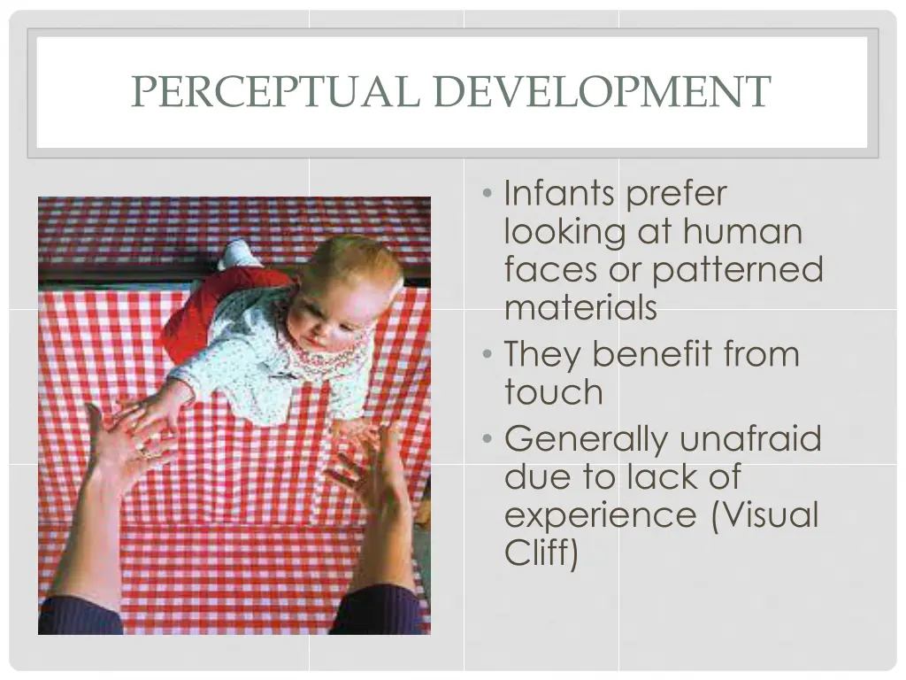 perceptual development