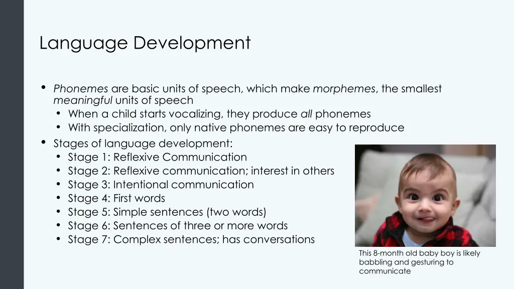 language development