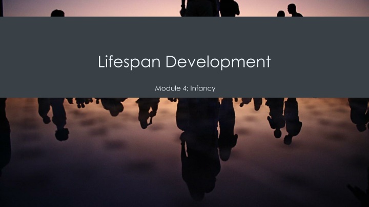 lifespan development