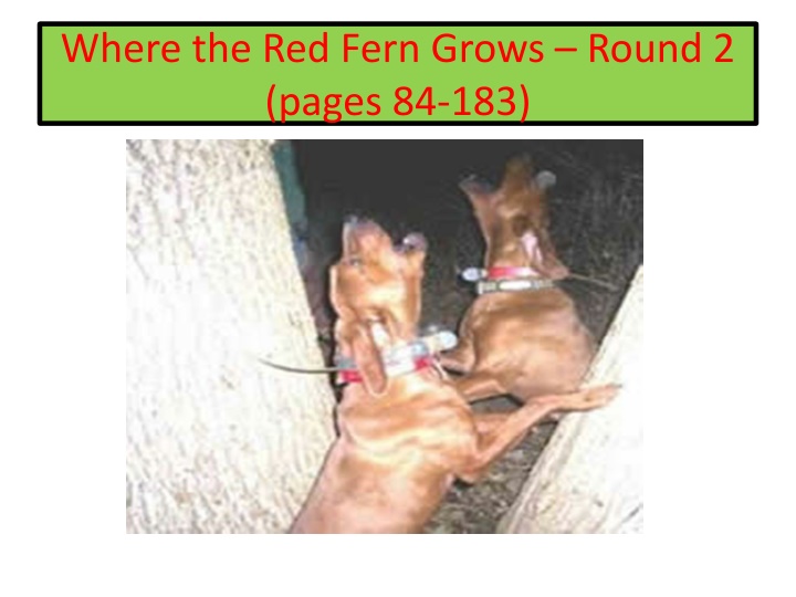 where the red fern grows round 2 pages 84 183