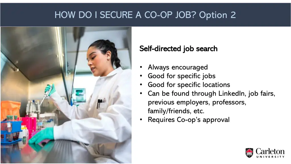 how do i secure a co op job option 2