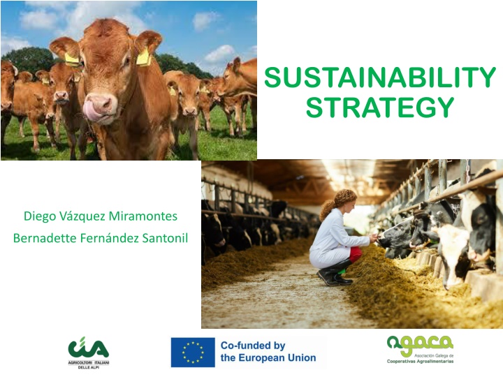 sustainability strategy