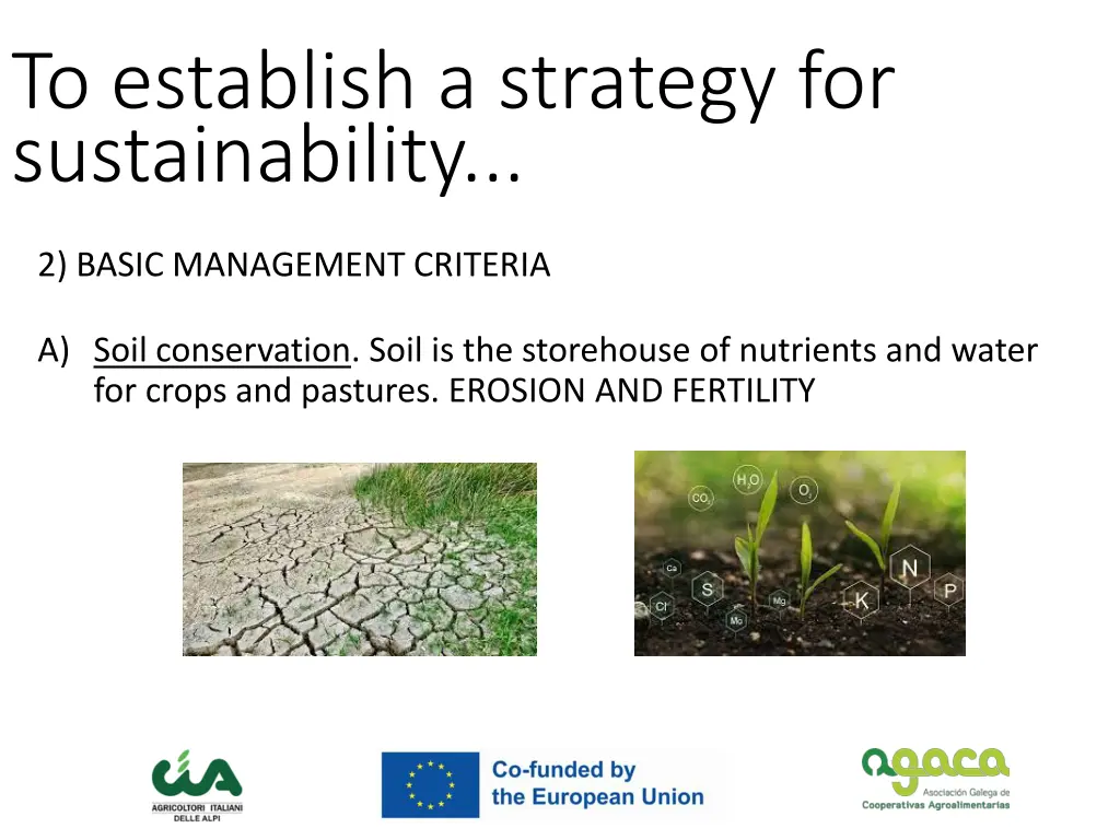 to establish a strategy for sustainability 2