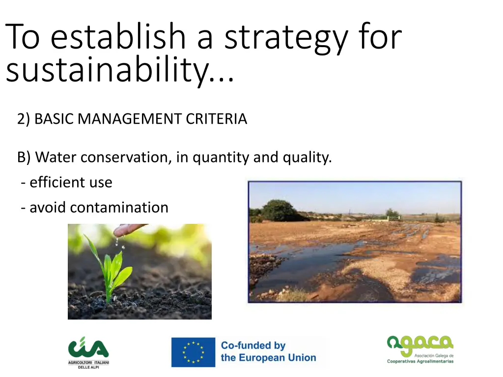 to establish a strategy for sustainability 3