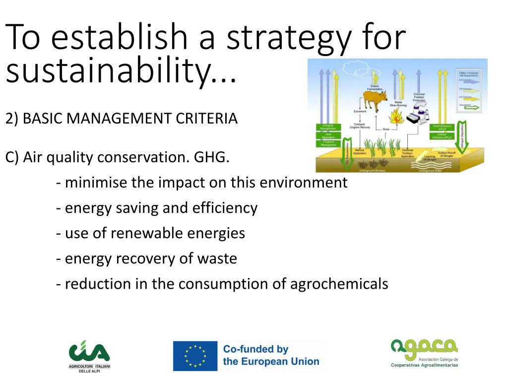 to establish a strategy for sustainability 4