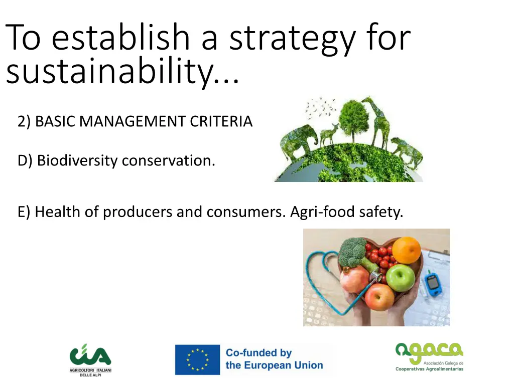 to establish a strategy for sustainability 5