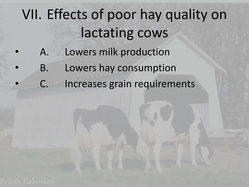 vii effects of poor hay quality on lactating cows