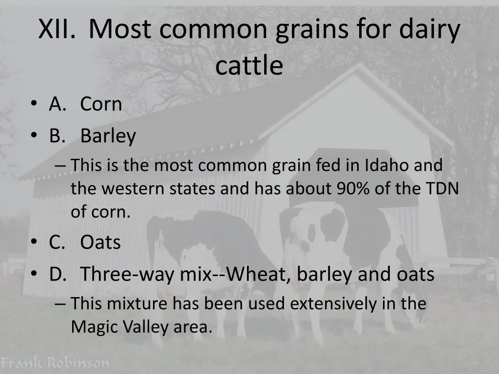 xii most common grains for dairy cattle a corn