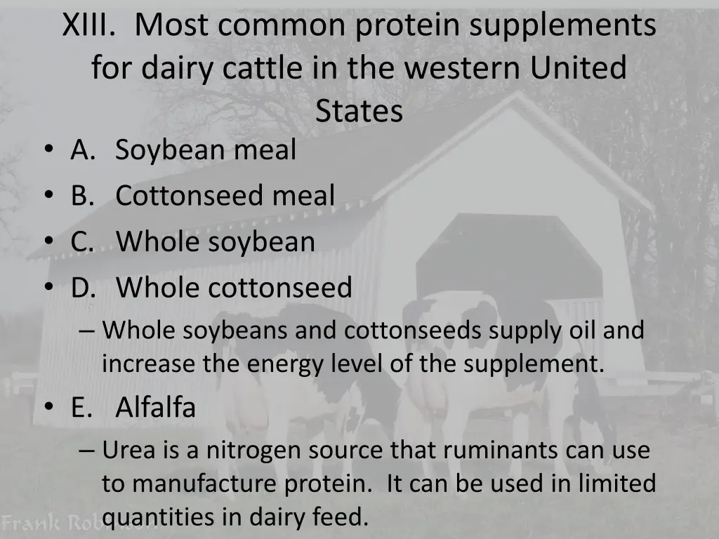 xiii most common protein supplements for dairy