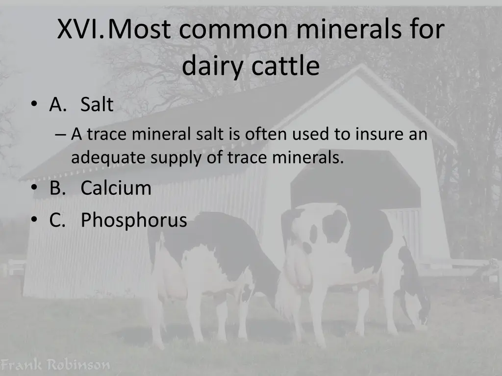 xvi most common minerals for dairy cattle a salt