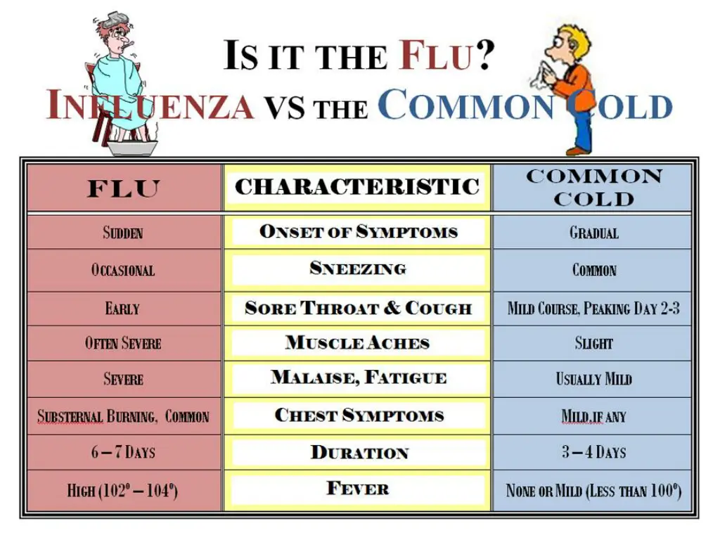 differentiating between colds and flu